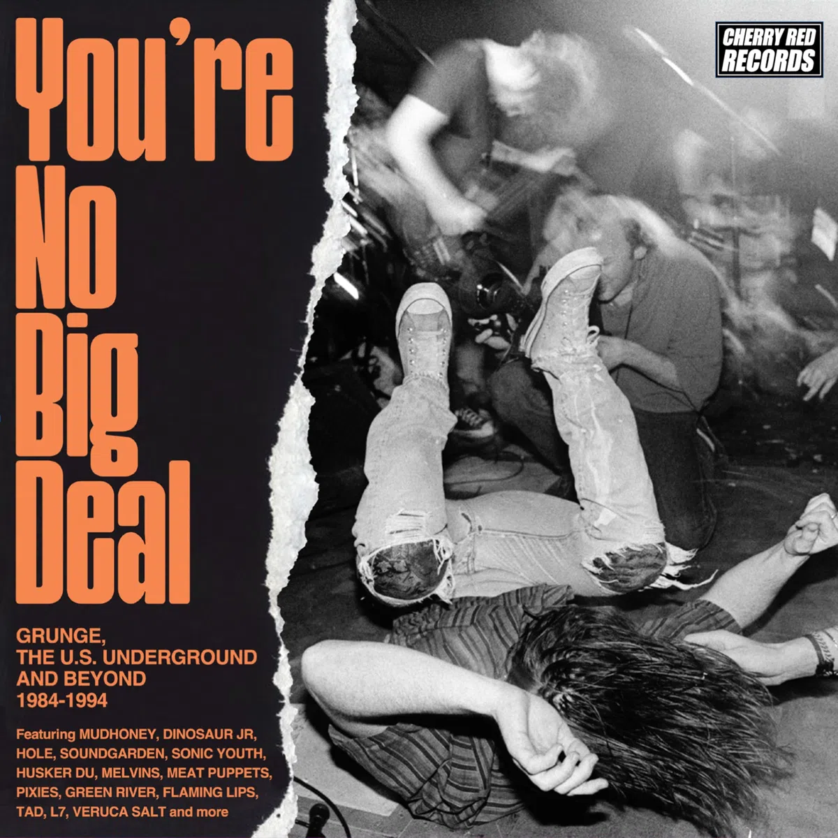 You're No Big Deal - Grunge, The U.S. Underground And Beyond 1984-1994
